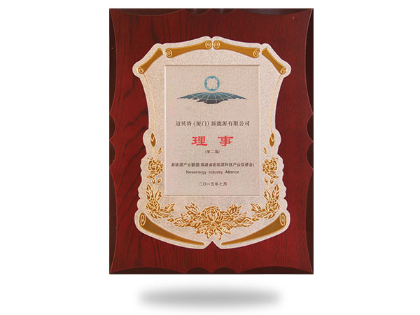 福建省新能源科技產(chǎn)業(yè)促進會理事