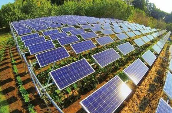 建設農光互補光伏電站有什么好處？