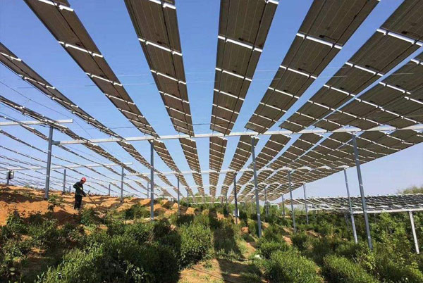 農光互補項目的模式及建設流程