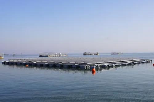 破局！海上光伏“探路者”