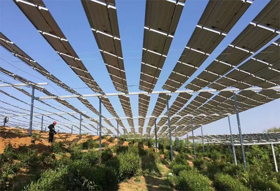 農光互補是什么