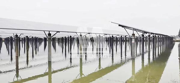 廣東開平 50MW漁光互補項目