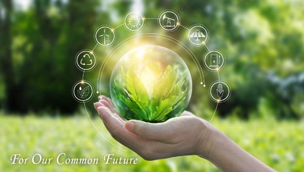 什么是CDM項(xiàng)目